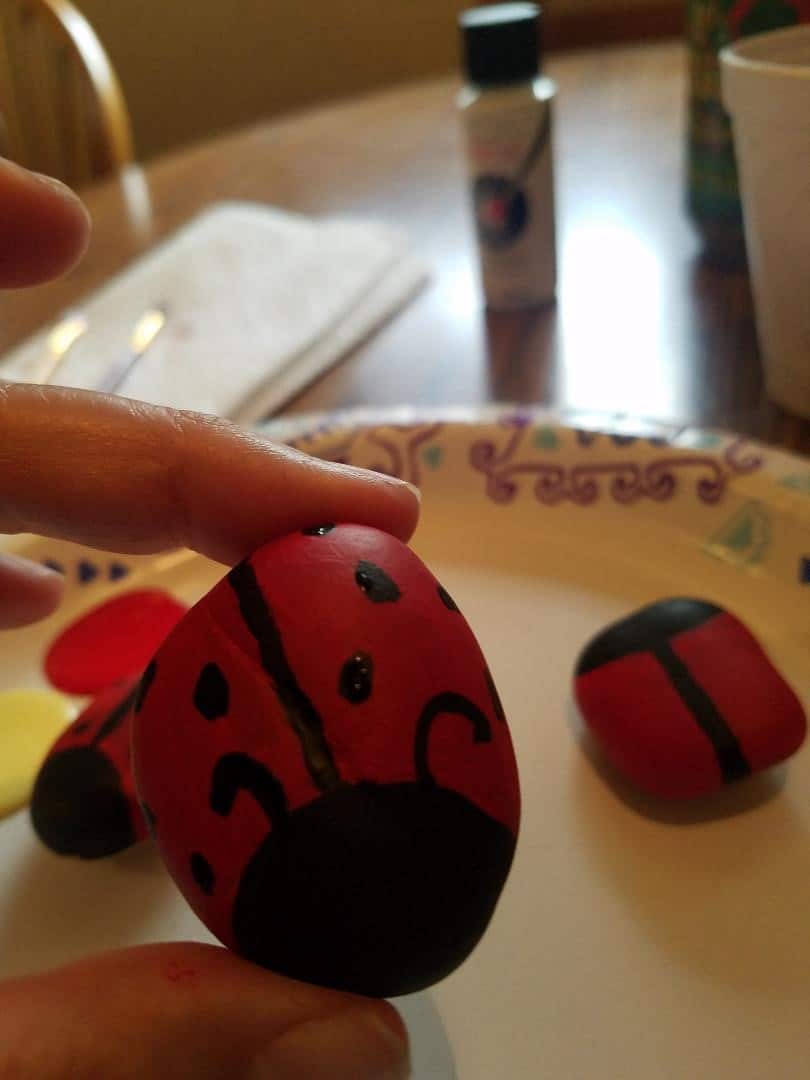 How to Paint a Ladybug on a Rock