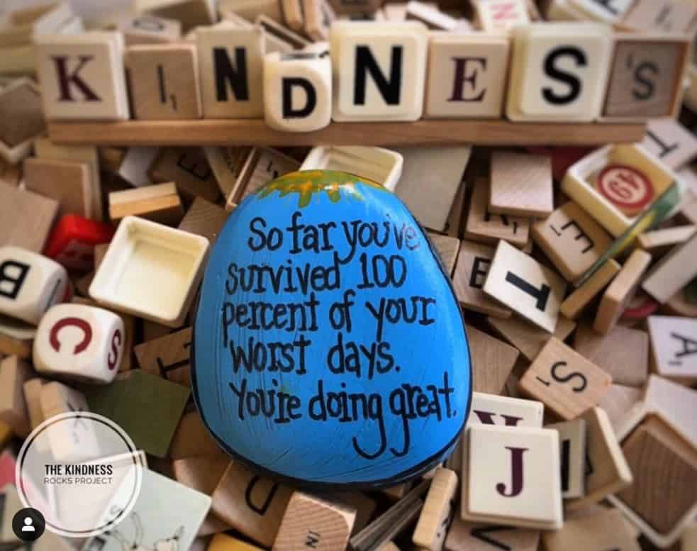 Survived worst days painted rock