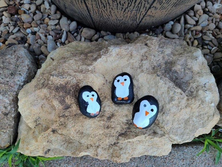 Penguin Rock Completed 1