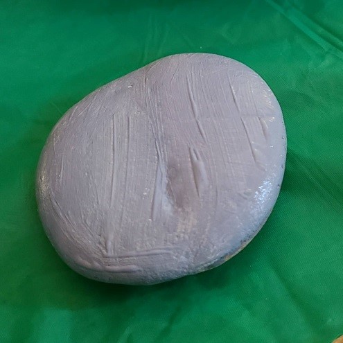 Dragonfly Painted Rock 5