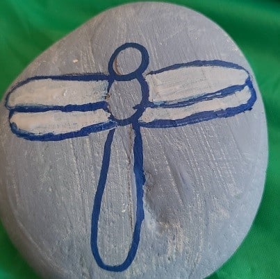 Dragonfly Painted Rock 8