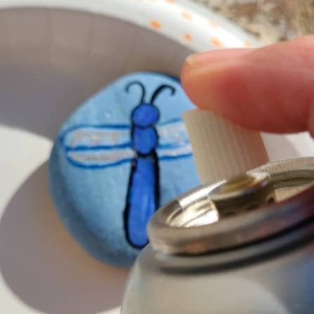 Dragonfly Painted Rock 11