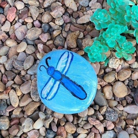 How to paint a dragonfly rock