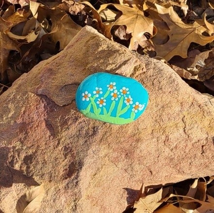 Drawing and Painting the Daisey on the Rock 5