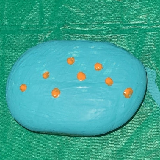 Drawing and Painting the Daisey on the Rock