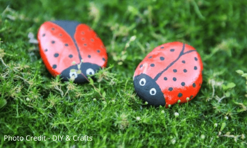 Painted ladybug rocks by DIY & Crafts