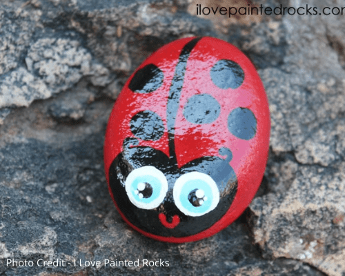 Painted ladybugs rocks
