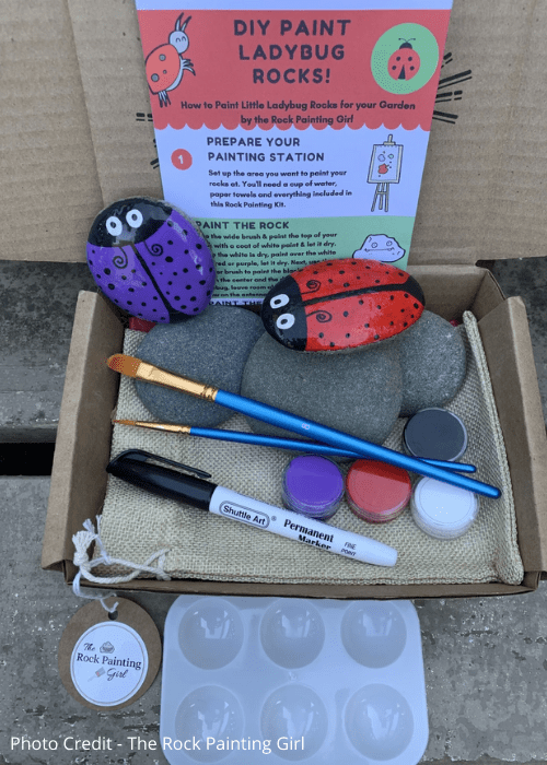 Painted ladybug rock by The Rock Painting Girl