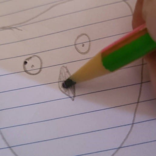 Outline for Snowy Owl rock
