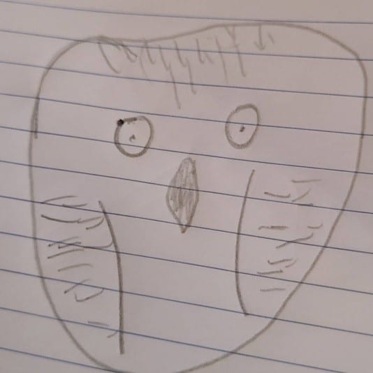 Outline for Snowy Owl rock 2