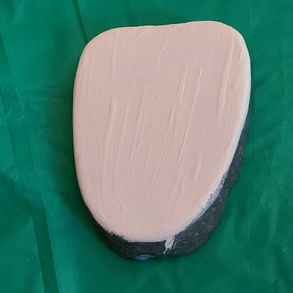 Basecoat for Snowy Owl rock 2
