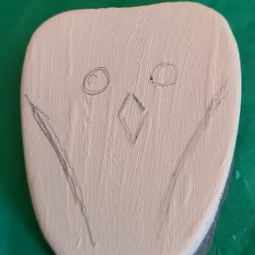 Draw face Snowy Owl rock