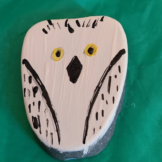Paint details Snowy Owl rock