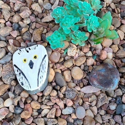 Painted Snowy Owl rock in garden