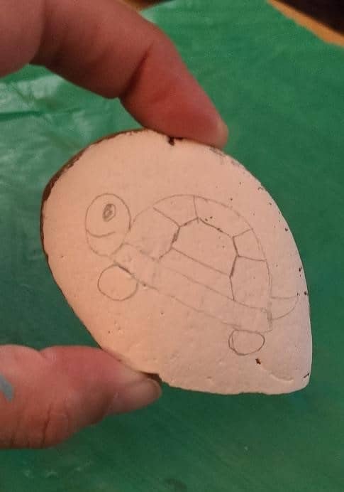 Turtle Rock Painting - T10