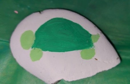 Turtle Rock Painting - T11