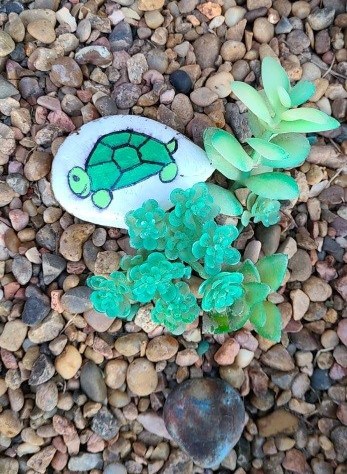 Turtle Rock Painting - T14