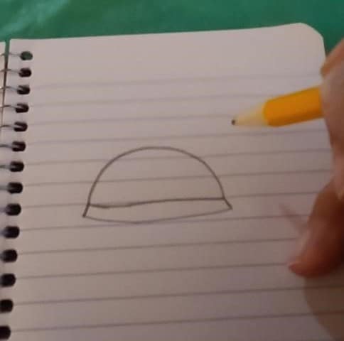 Turtle Rock Painting - T4