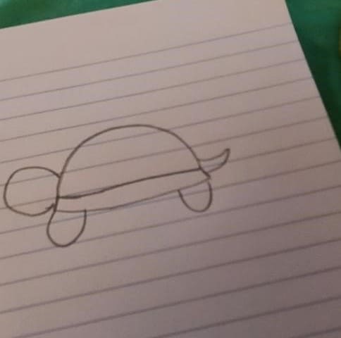 Turtle Rock Painting - T6