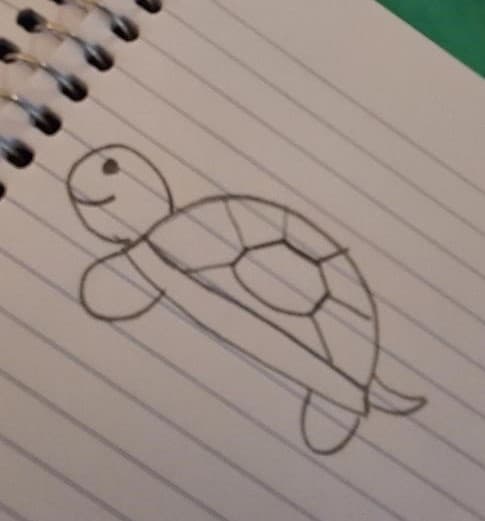 Turtle Rock Painting - T7