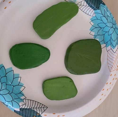 Base Coat for Cactus Rocks