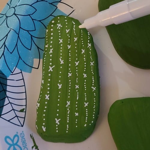 Cactus Rock Details 1