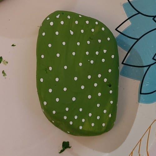 Cactus Rock Details 3