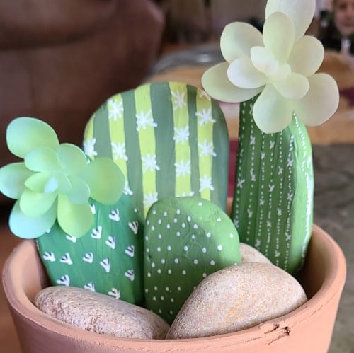 Cactus Rock Garden 1