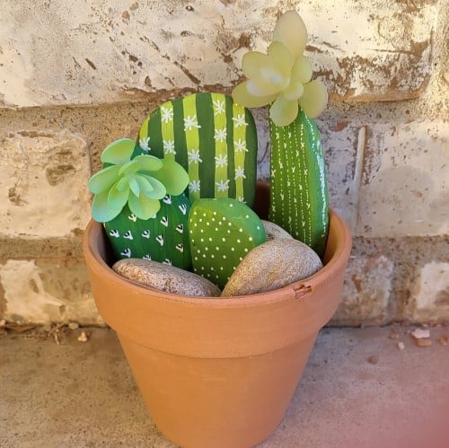 Cactus Rock Garden 2