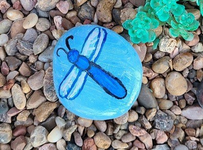 Easy Dragonfly Rock Painting – A Beginners Guide