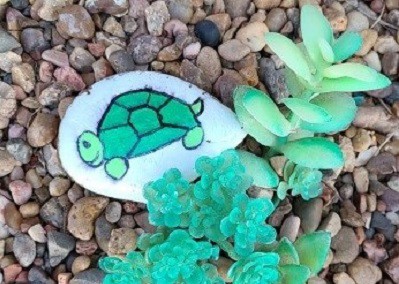 Fun and Easy Turtle Rock Painting for Beginners