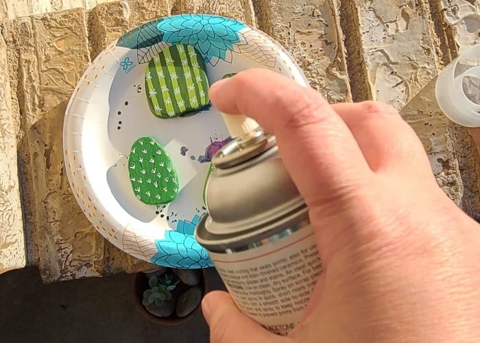 How to Make a Cactus Rock Garden – No Band-Aids Needed