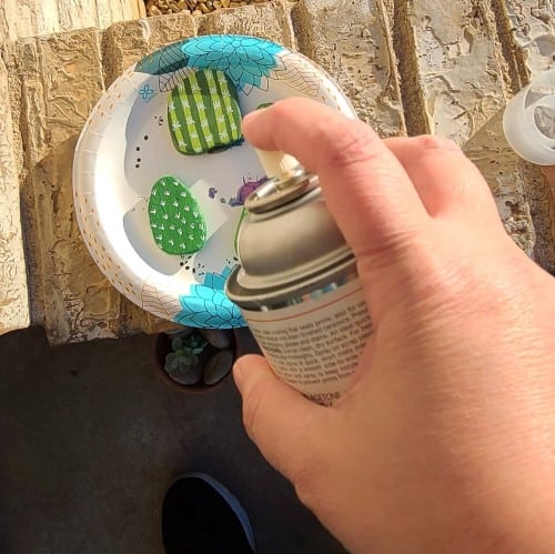 Sealing the Cactus Rocks
