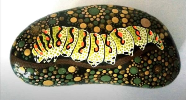 Dotted Caterpillar on a Rock by DecoToes