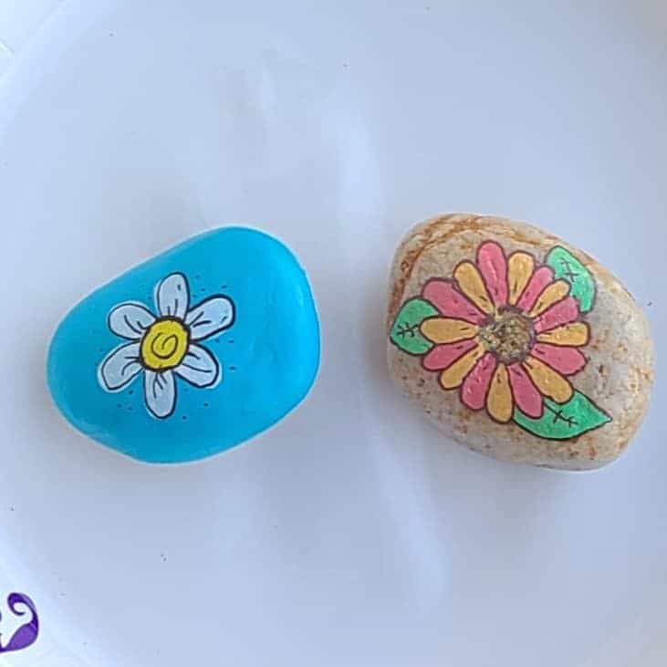 Two daisy painted rocks - final