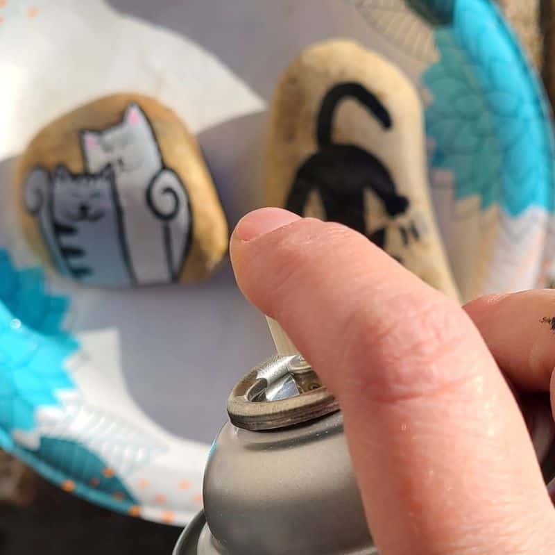 cat painted rocks sealing rocks