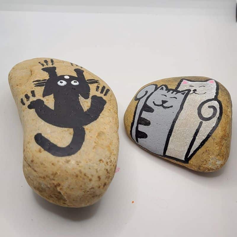 cat painted rocks