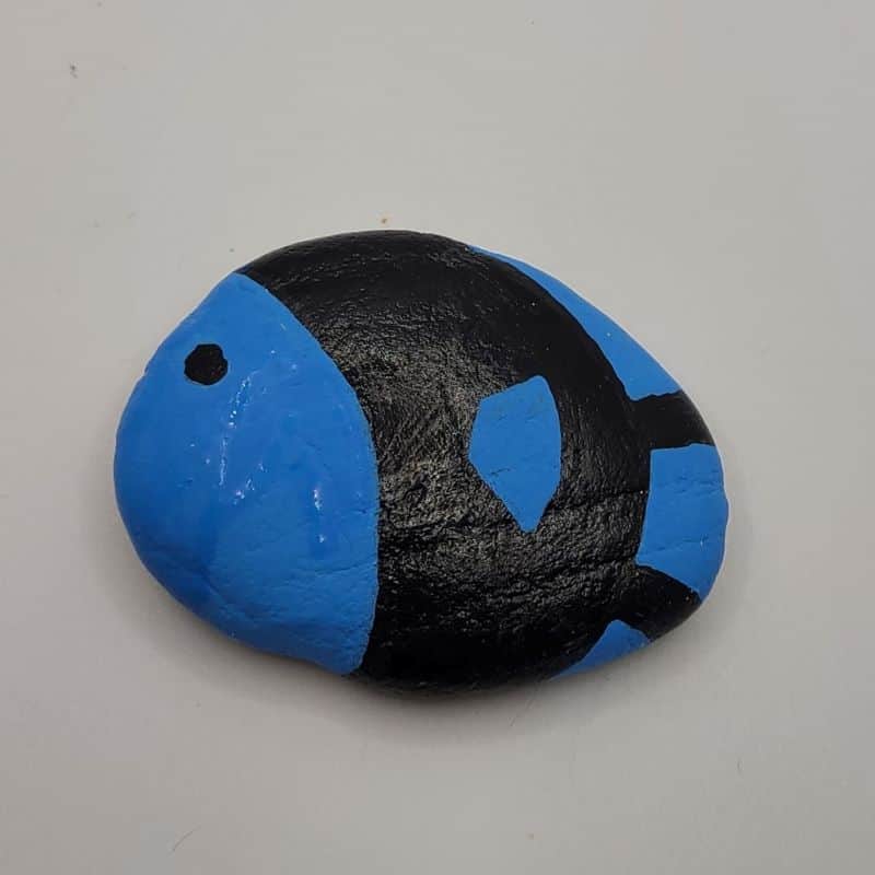 fish rock painting image 2c