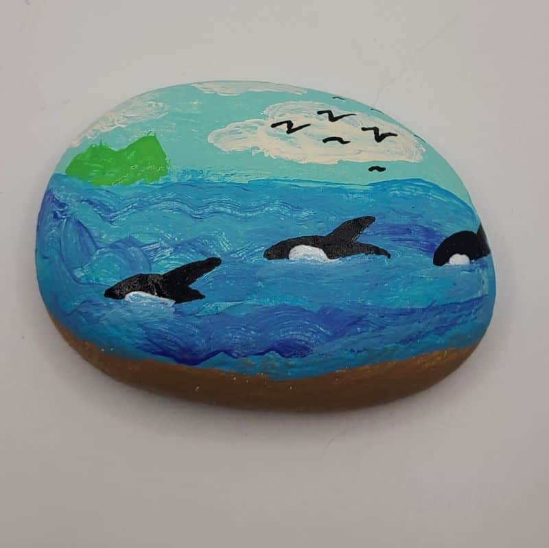whale painted rocks design 3d