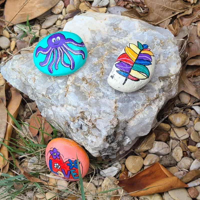 Displaying Rocks Rock Garden